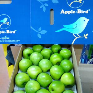 Apple Bird