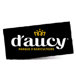 D’aucy
