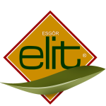 ELIT