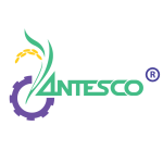 Antesco