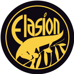 Elasion