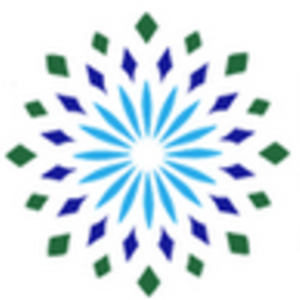 Hassani Group of Companies