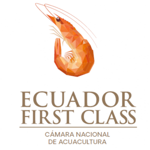 Ecuador First Class Shrimp