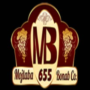 Mojtaba Bonab Co
