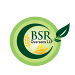 Bsr Overseas LLP