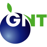 GYEONG NAM TRADING INC