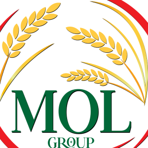 Mol Enterprises
