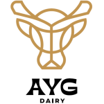 AYG GROUP LTD