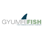 GYUMRI FISH LLC
