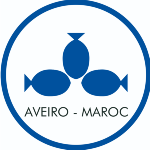 Groupe BICHA Aveiro Maroc